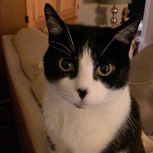 Meet your Posher, Dylan